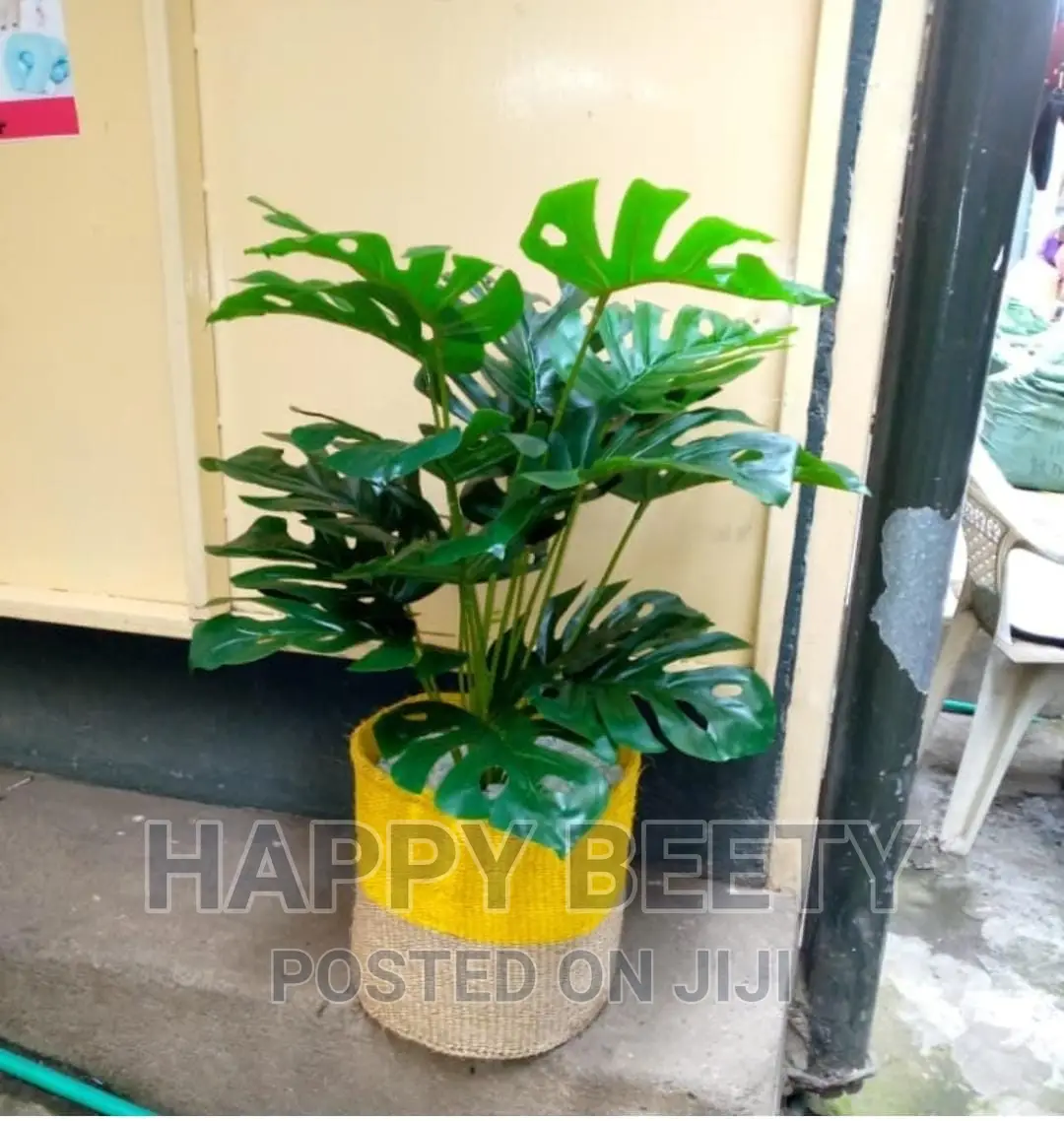 *Beautiful Artificial Monstera Plant With a Basket