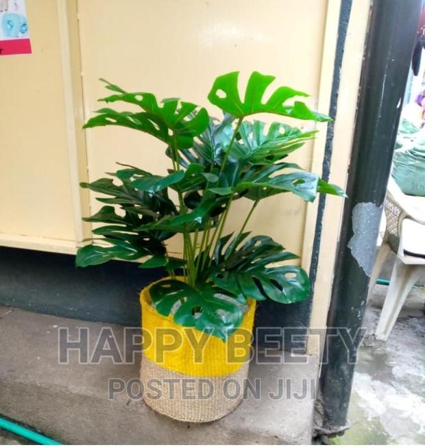 *Beautiful Artificial Monstera Plant With a Basket - main view