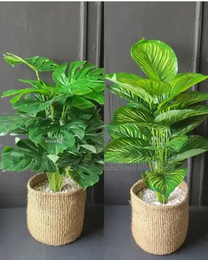 *Beautiful Artificial Monstera Plant With a Basket*