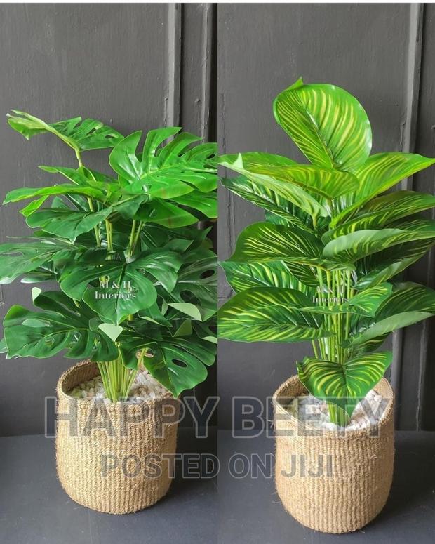 *Beautiful Artificial Monstera Plant With a Basket* - main view