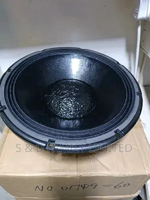 Derwel 12WK401 Naked Speaker 12 Inches