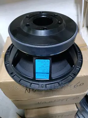 Derwel 12WK401 Naked Speaker 12 Inches