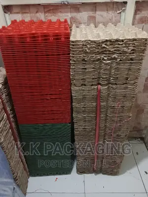 Empty Carton Egg Tray (30 PCS Capacity)