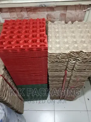 Empty Carton Egg Tray (30 PCS Capacity)