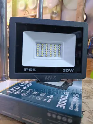 30watts AC Floodlight MAX