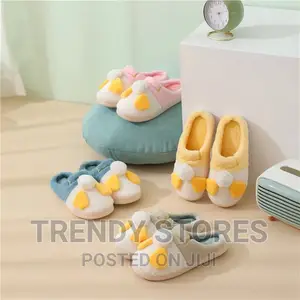 Indoor Slipons Lazy Shoes