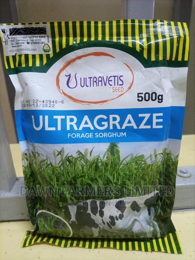 Ultragraze Forage Sorghum 500g
