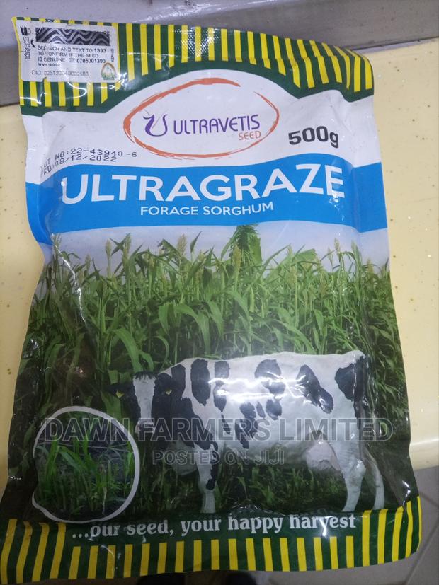 Ultragraze Forage Sorghum 500g - thumbnail 2