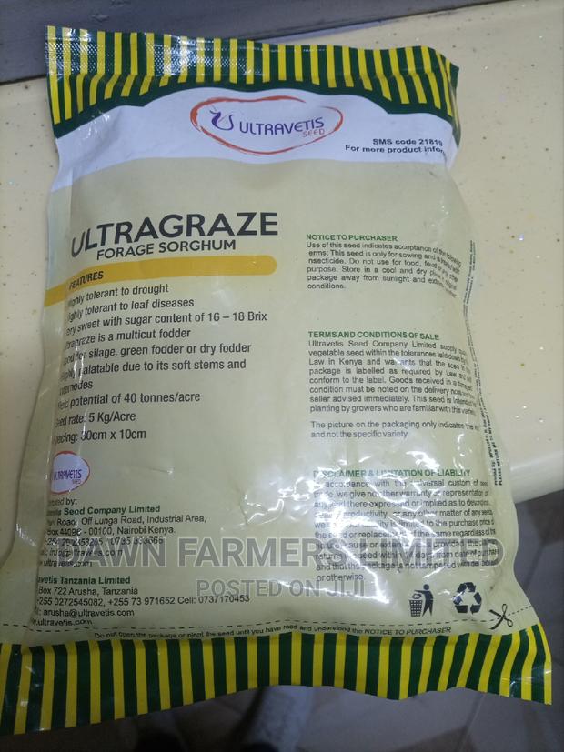 Ultragraze Forage Sorghum 500g - thumbnail 3