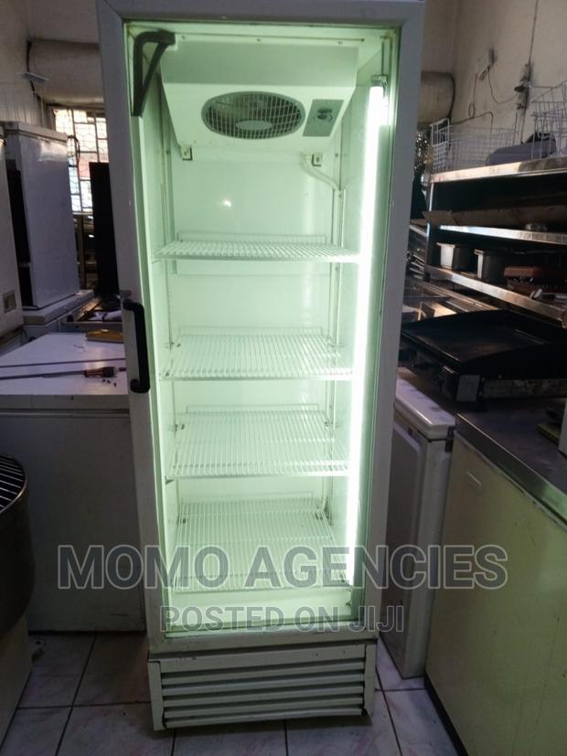 Display Cooler Fridge 400l - main view