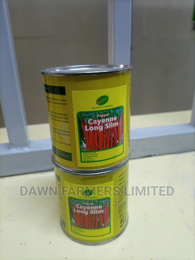 Cayenne Long Slim 50g Pilipili Kali