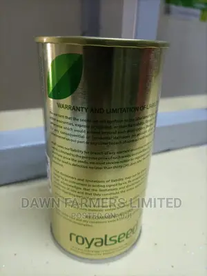 Dill Dukat F1 100g