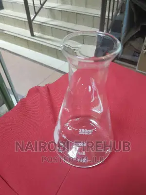 School Lab Conical Flask 250 Ml