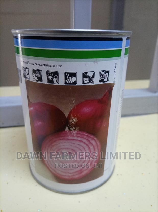Red Simba F1 Onion,100,000 Seed - thumbnail 2
