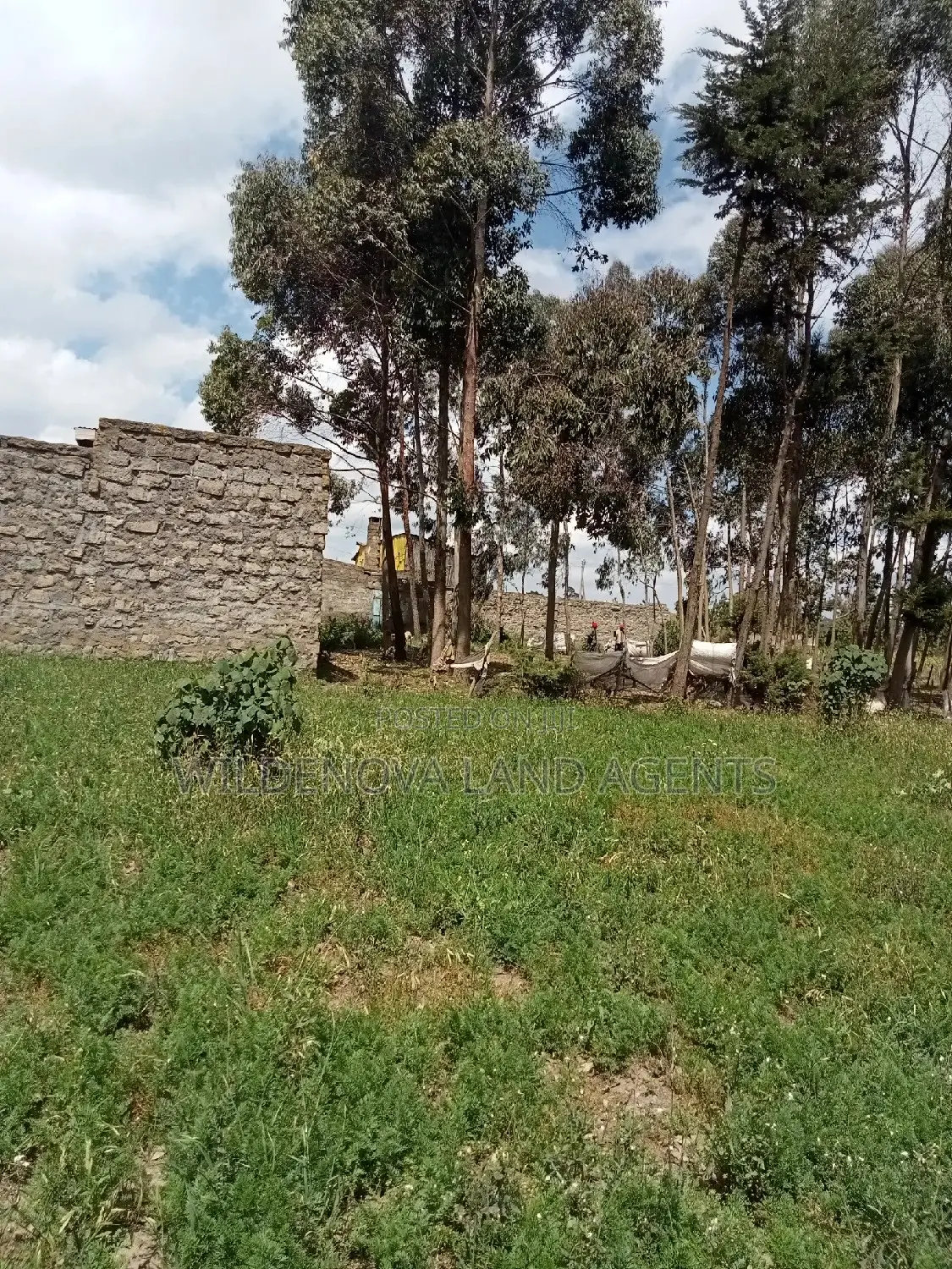 50*100 Plot on Sale at Flyover Kinangop