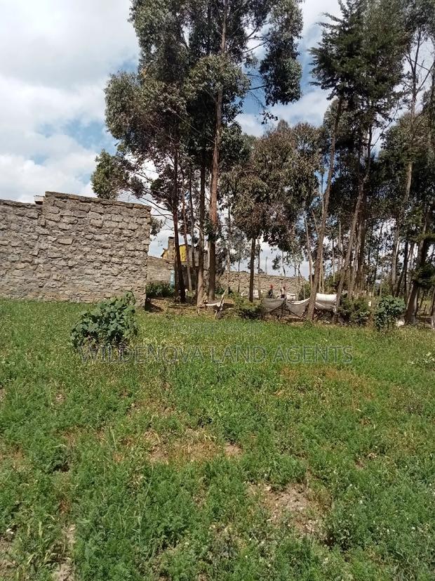 50*100 Plot on Sale at Flyover Kinangop - thumbnail 3