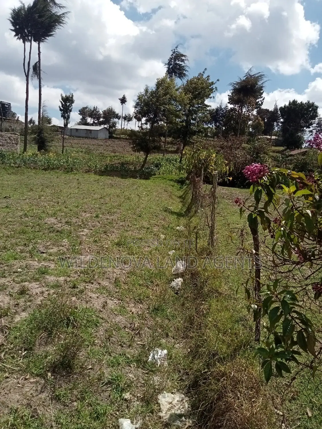 50*100 Plot on Sale at Flyover Kinangop