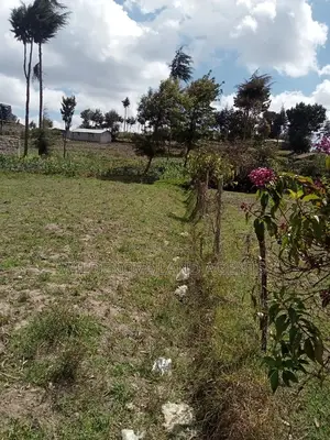 50*100 Plot on Sale at Flyover Kinangop