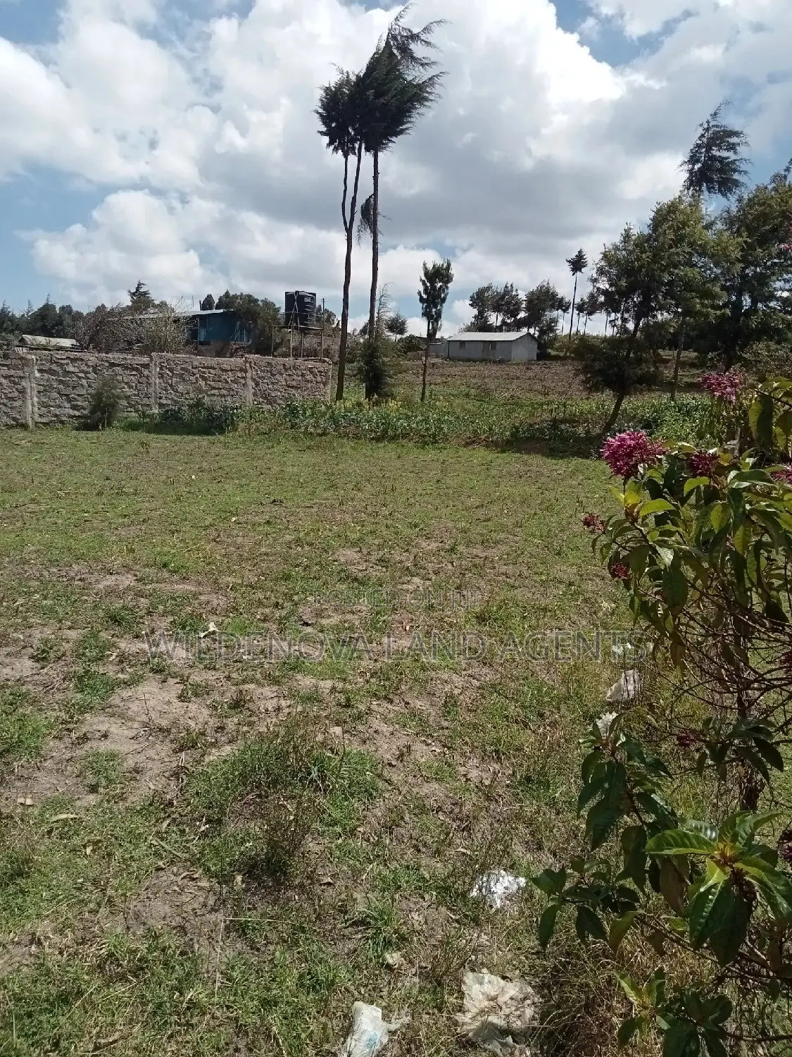 50*100 Plot on Sale at Flyover Kinangop
