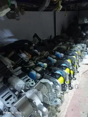 Safety Belts