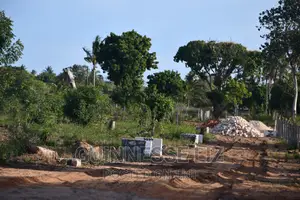 Faulu Estate Phase2 Kilifi, Tezo