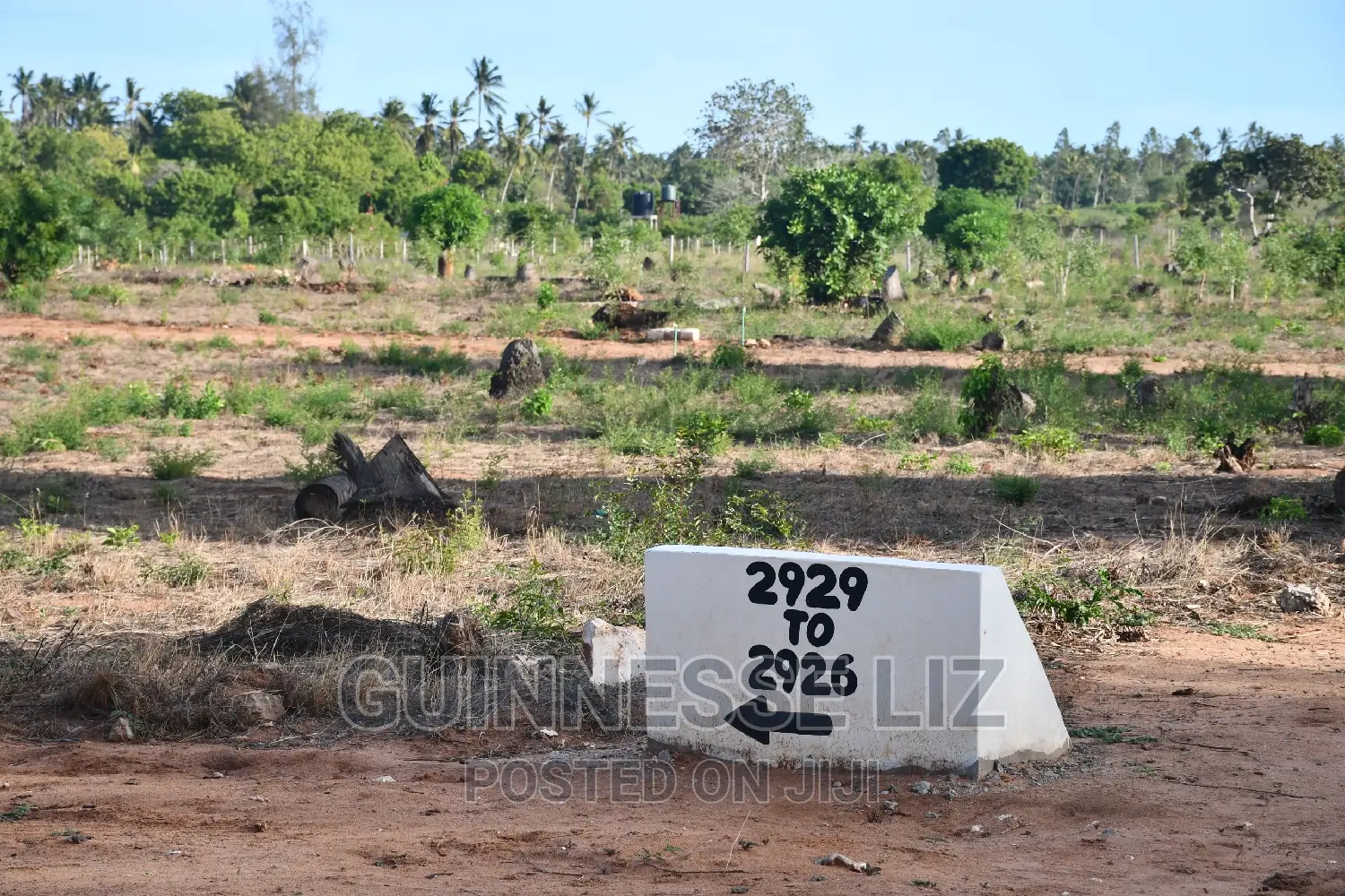 Faulu Estate Phase2 Kilifi, Tezo