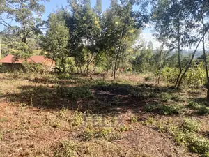 1 Acre Karatina/ Itiati