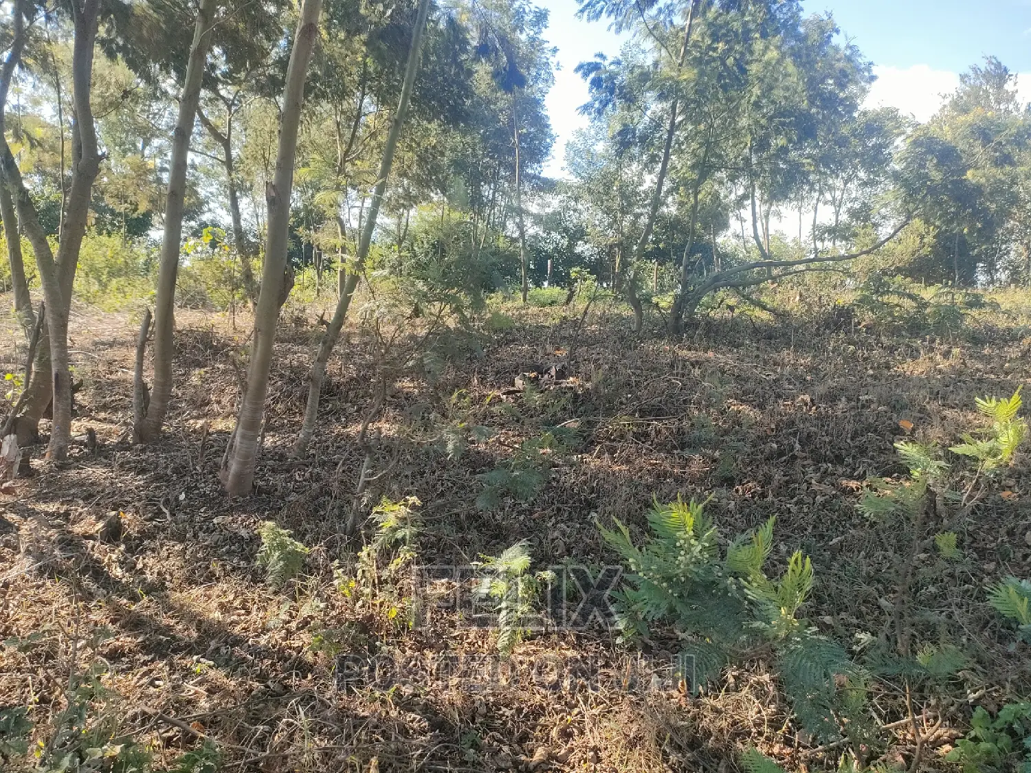 1 Acre Karatina/ Itiati