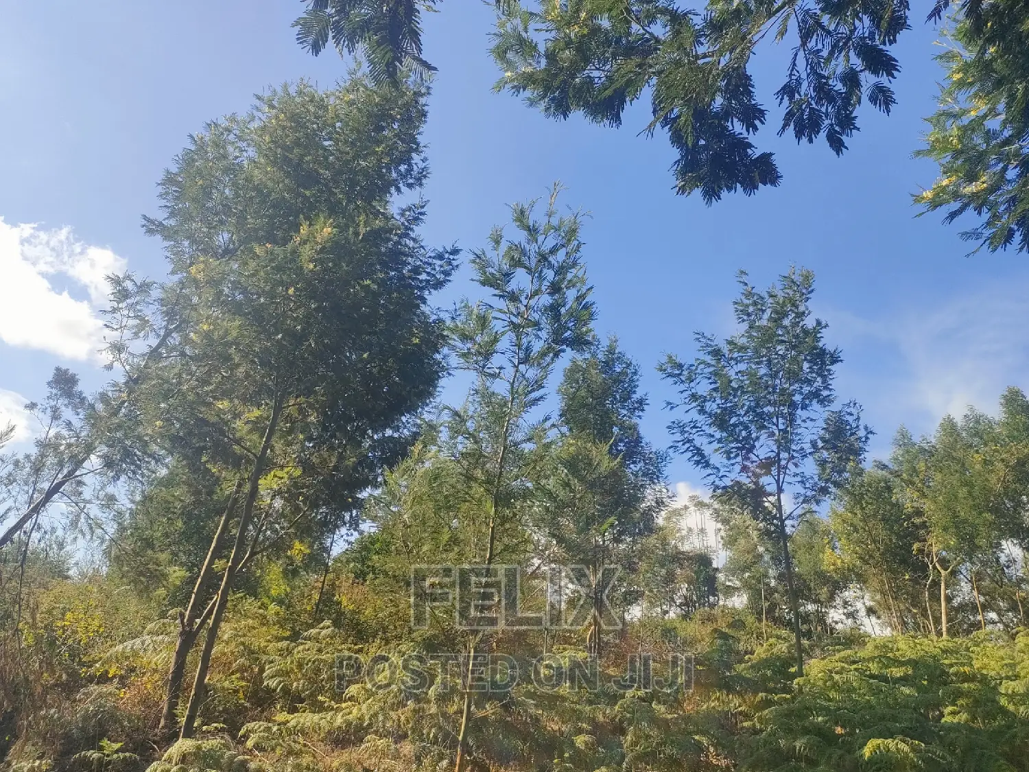 1 Acre Karatina/ Itiati