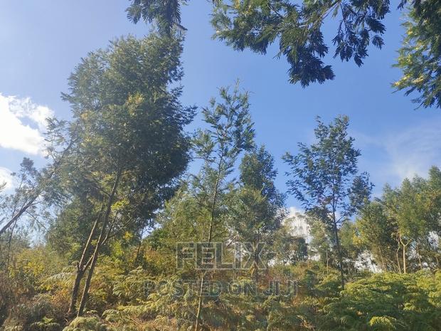 1 Acre Karatina/ Itiati - thumbnail 8