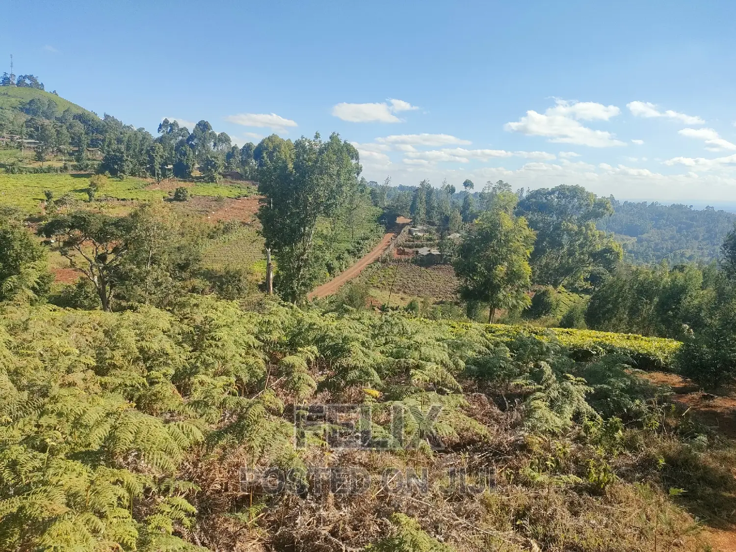 1 Acre Karatina/ Itiati