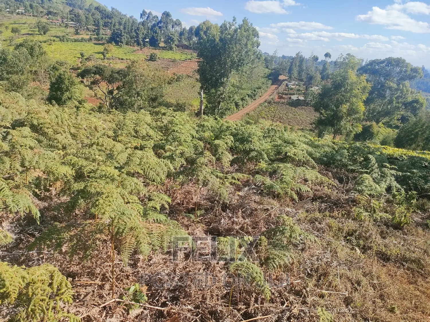 1 Acre Karatina/ Itiati