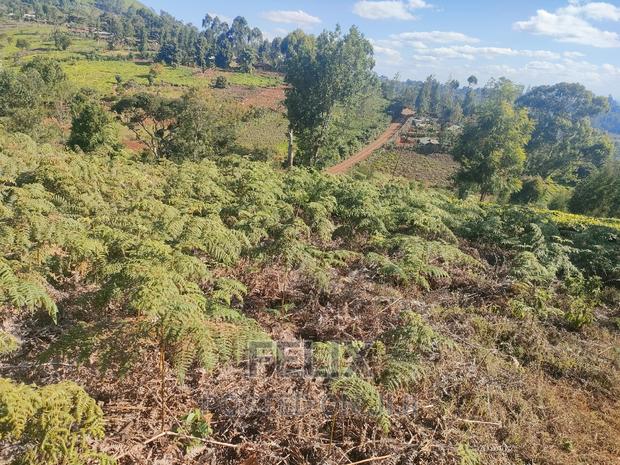 1 Acre Karatina/ Itiati - thumbnail 10