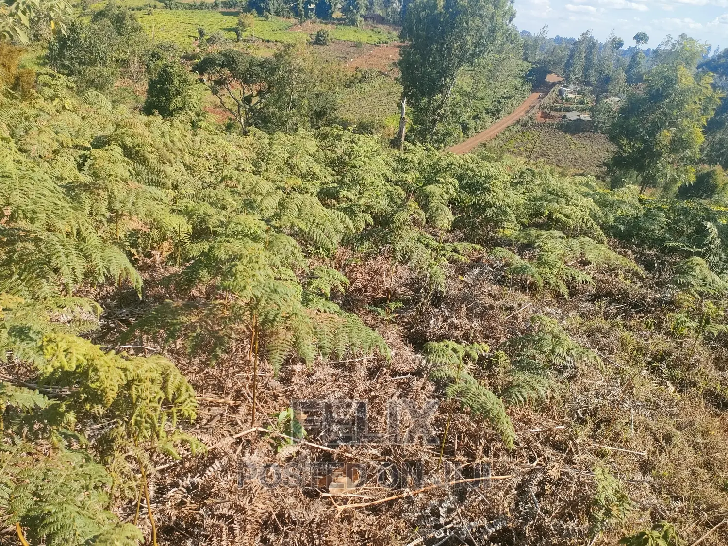 1 Acre Karatina/ Itiati