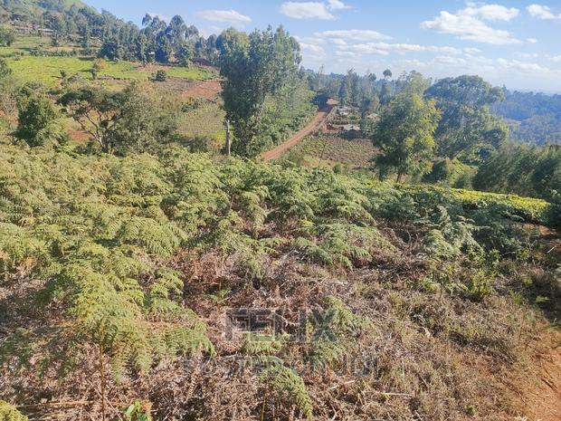 1 Acre Karatina/ Itiati - thumbnail 12