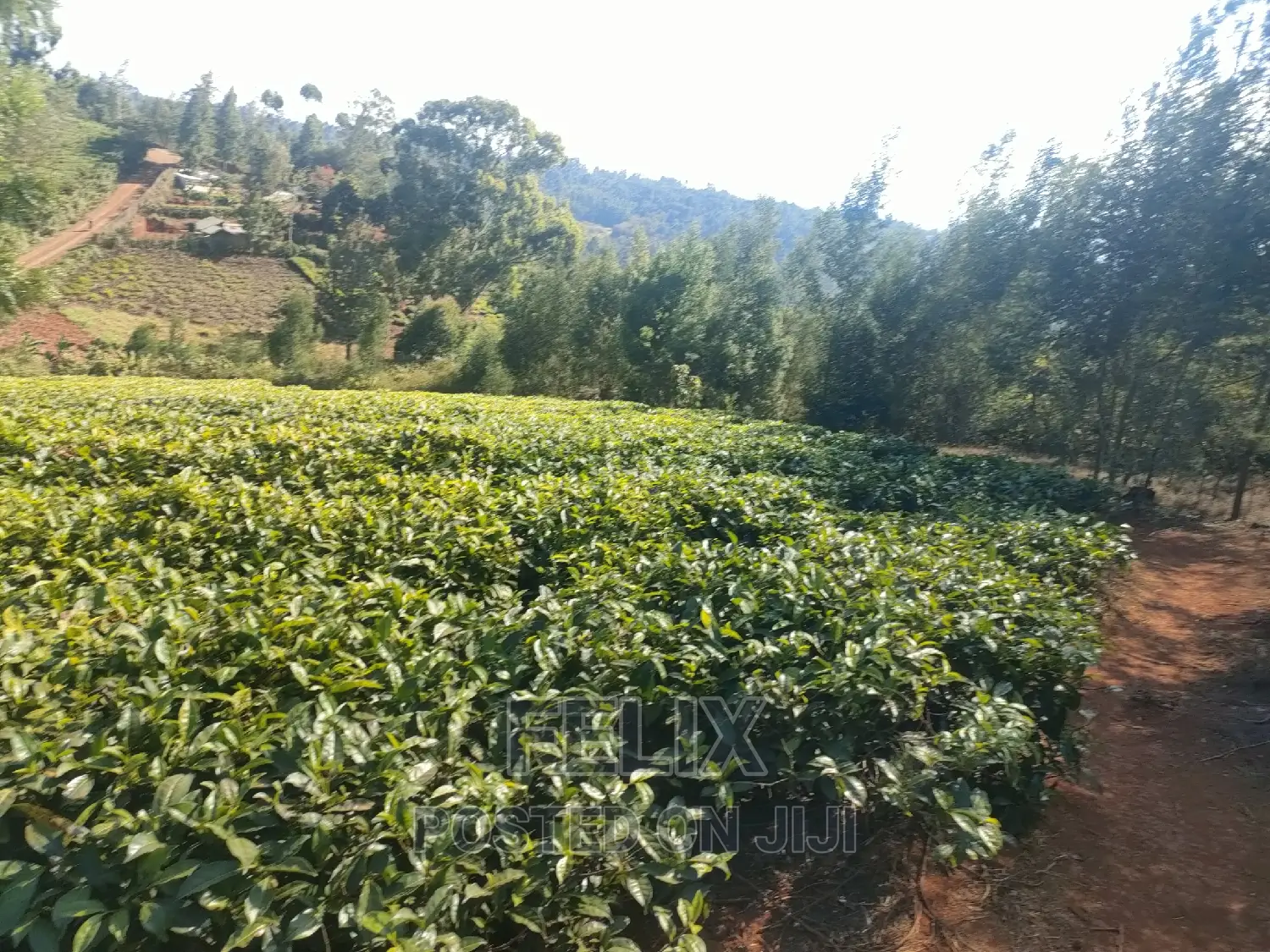1 Acre Karatina/ Itiati