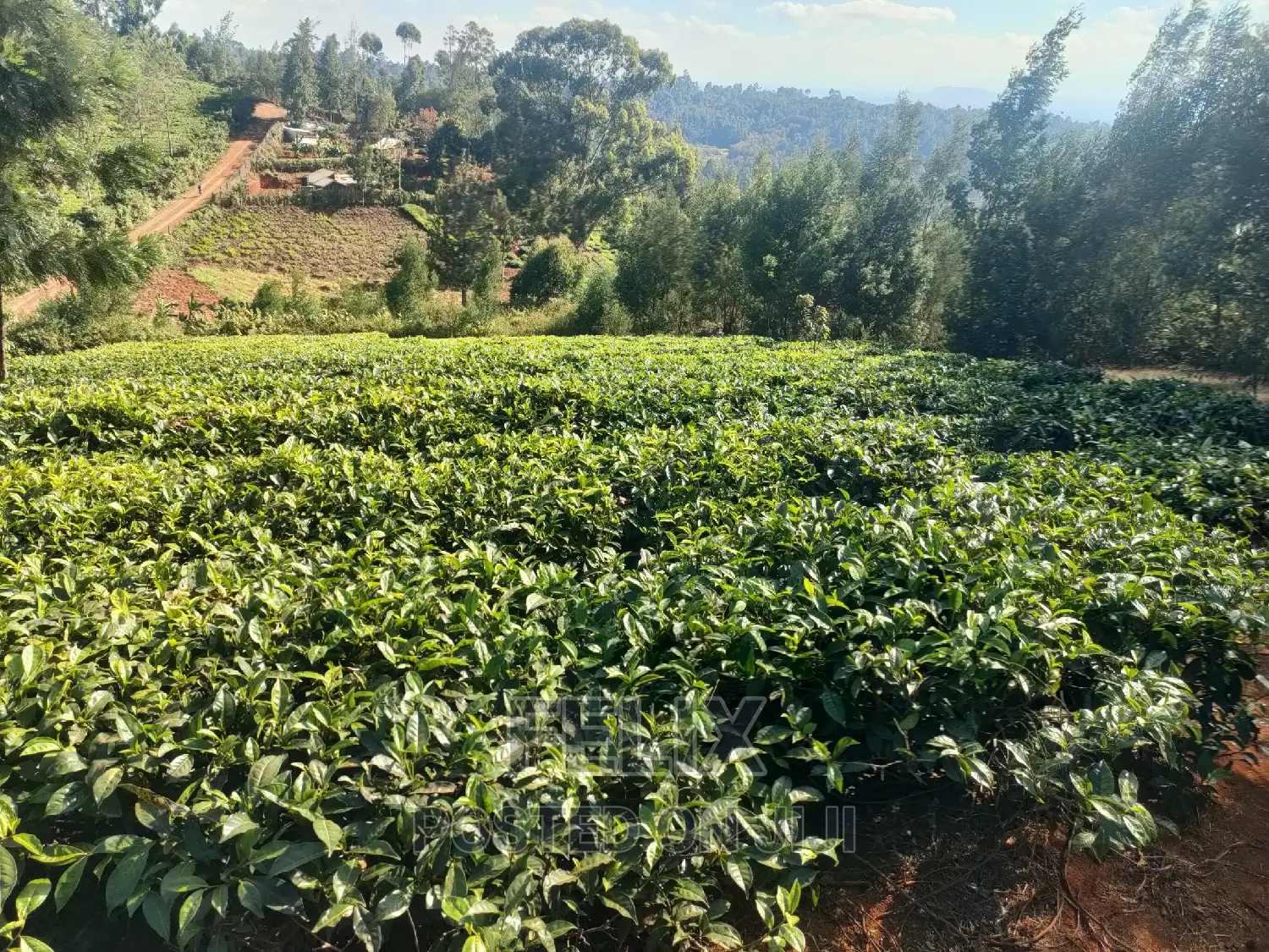 1 Acre Karatina/ Itiati
