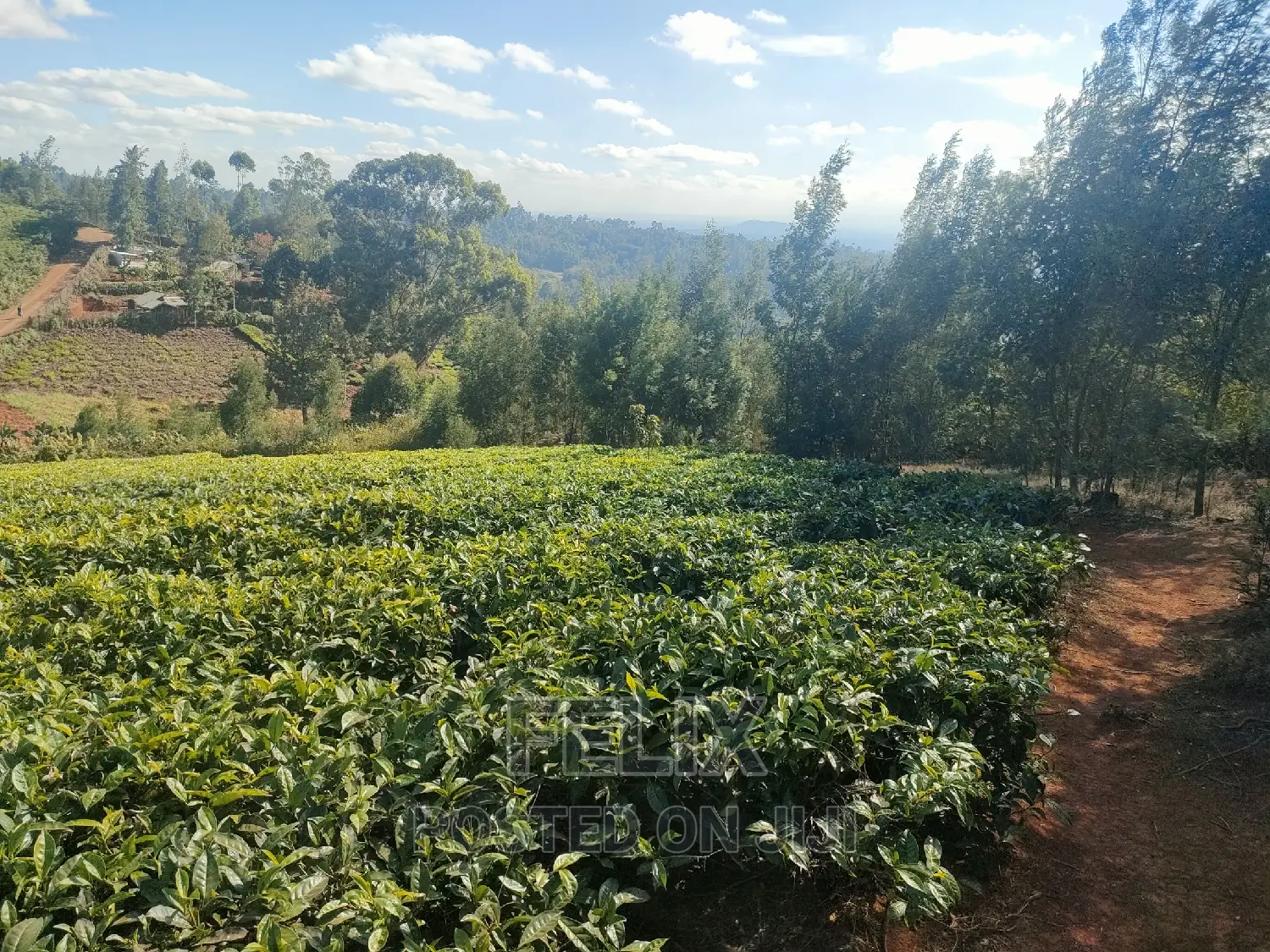1 Acre Karatina/ Itiati