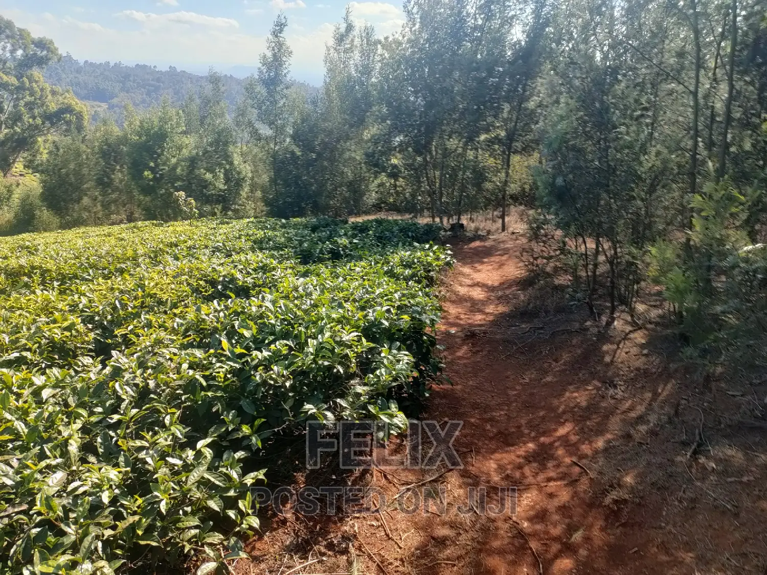 1 Acre Karatina/ Itiati