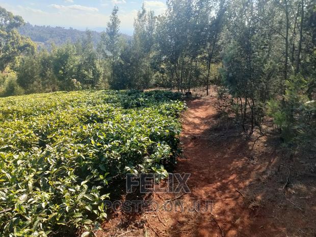1 Acre Karatina/ Itiati - thumbnail 16