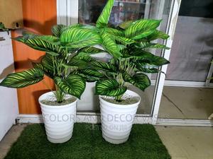 Plant,Plastic Vase and Pebble Stones - thumbnail 2