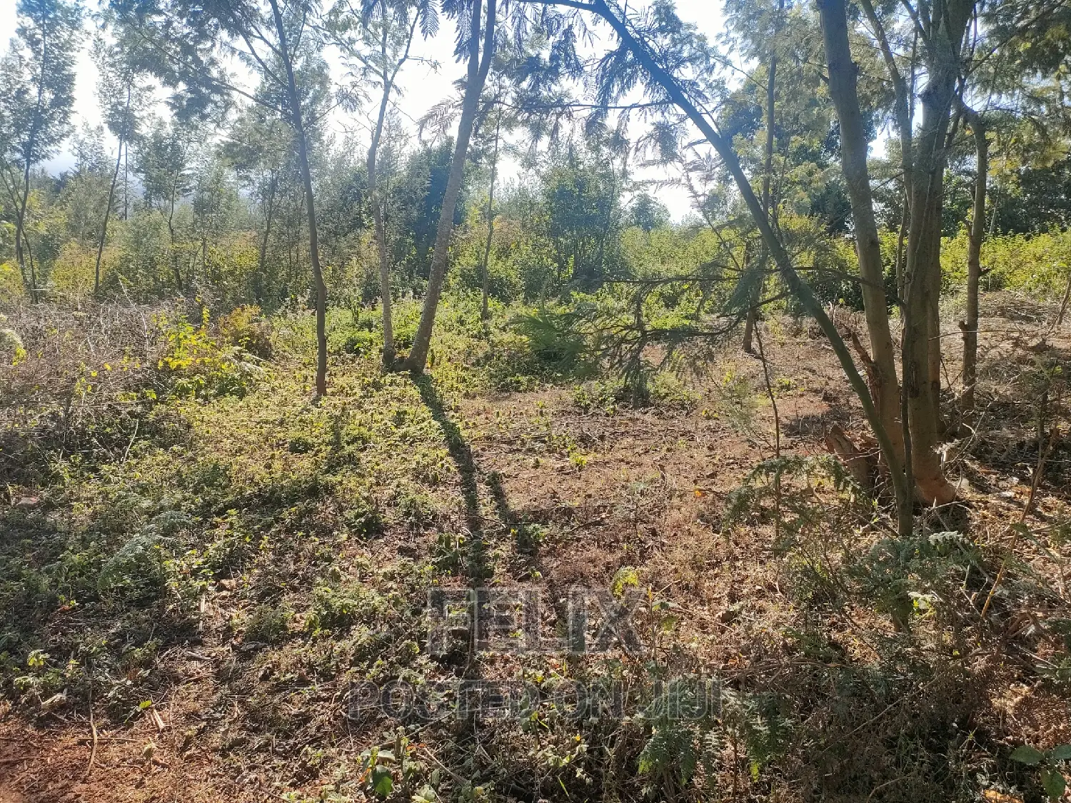1 Acre Karatina/ Itiati