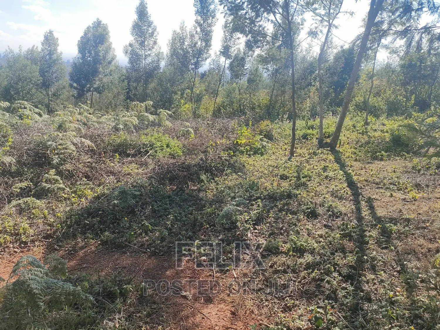 1 Acre Karatina/ Itiati