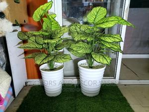 Plants Artificial With Pebble Stones in a Plastic Vase - thumbnail 2