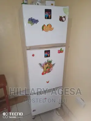 Fridge Maintenance