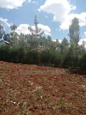 40 by 80 Ft Plots on Sale at Kabati. - thumbnail 2