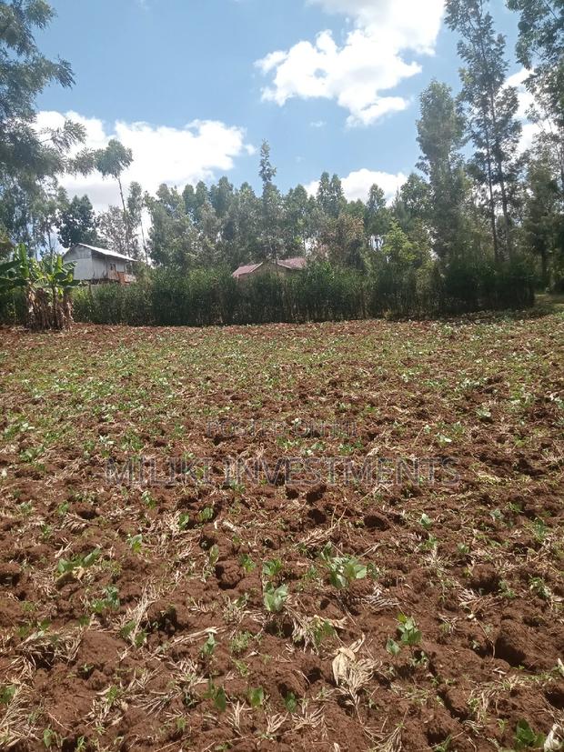40 by 80 Ft Plots on Sale at Kabati. - thumbnail 3