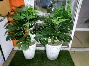 Plants and Vases Plastic KSH 2000 on Offer
