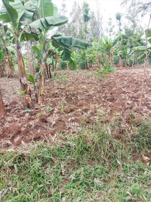 Quarter an Acre on Sale at Kabati - main view