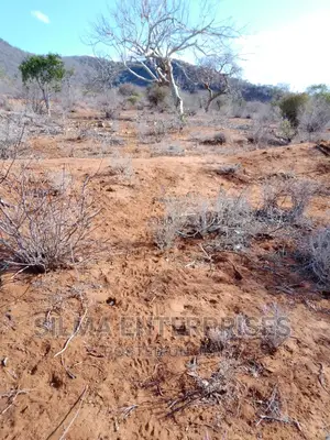 Plot for Sale in Voi, Mwakingali